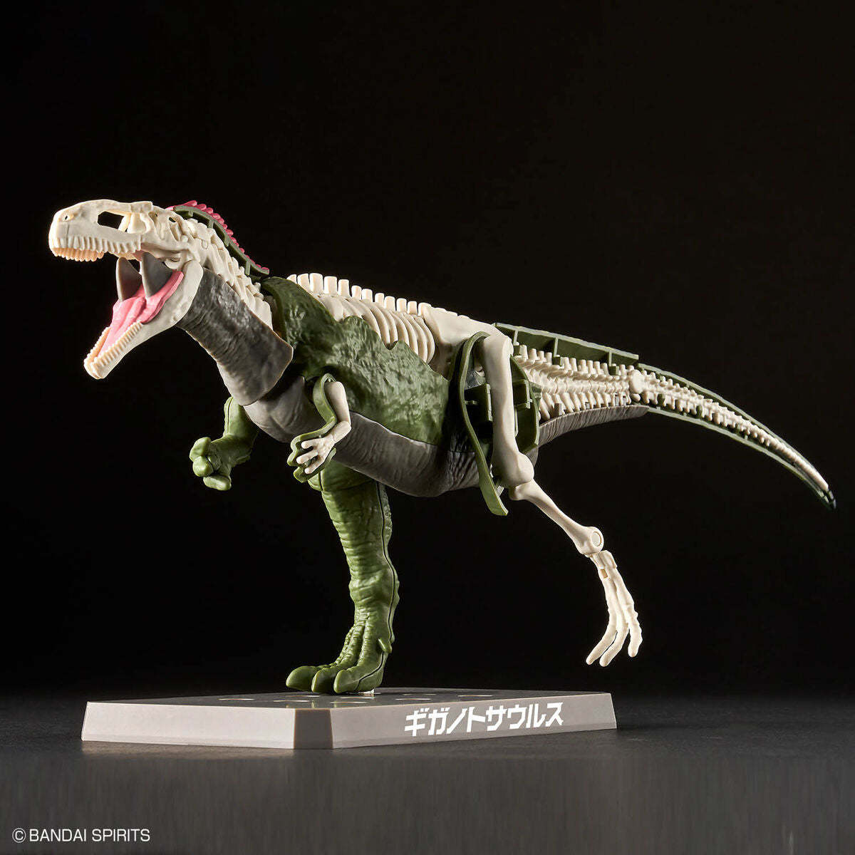 Bandai Giganotosaurus Plannosaurus