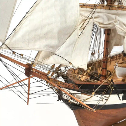 HMS BEAGLE